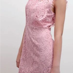 Blu Pepper Pink Scallop Lace Mini Dress | Women's Size S | New With Tags